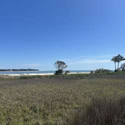 AmandaRare67's Chat & Dating Profile