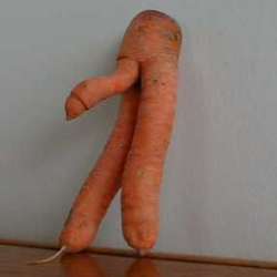 Arctic's Chat & Dating Profile