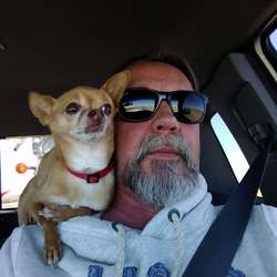 Bradfordly1's Chat & Dating Profile