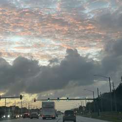 Findout's Chat & Dating Profile