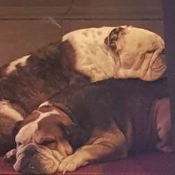 JacquelineP's Chat & Dating Profile