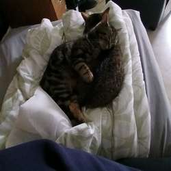 Jessica91's Chat & Dating Profile