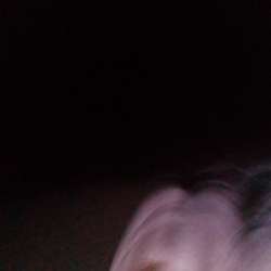 Johbub's Chat & Dating Profile