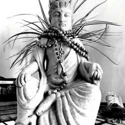 MelinaCD's Chat & Dating Profile