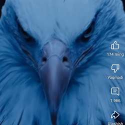 Transhwhwh's Chat & Dating Profile