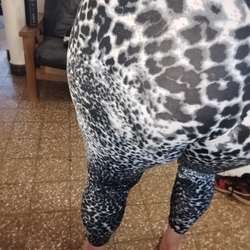 cdthongsandals's Chat & Dating Profile