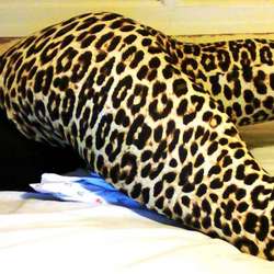 curvymagdalena's Chat & Dating Profile