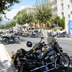 degrotesnor's Chat & Dating Profile