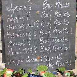 kingstonalbert43's Chat & Dating Profile