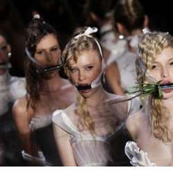 mojgan's Chat & Dating Profile