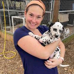 sweetmonica's Chat & Dating Profile