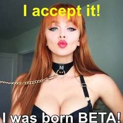 vixxxen's Chat & Dating Profile